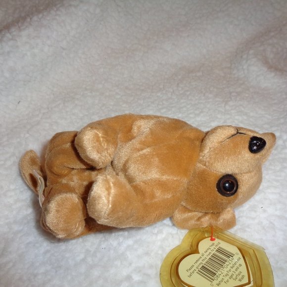 TY Beanie Baby Tiny The Chihuahua - Picture 5 of 11